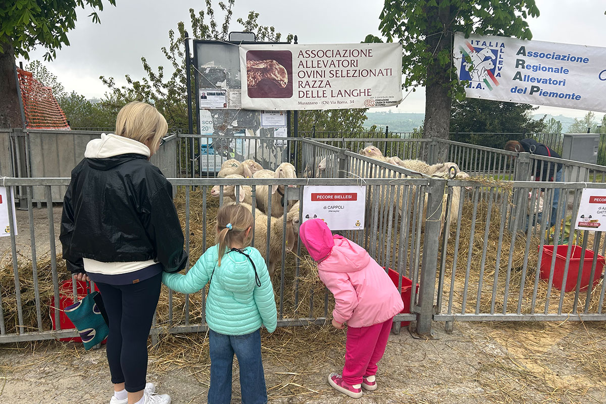 Anduma e Tastuma 2025