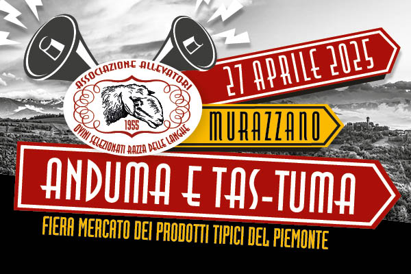 Cover – Anduma e Tas-tuma 2025